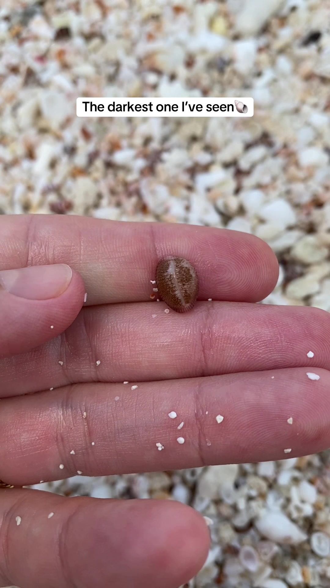 @🐚Jojo🌴