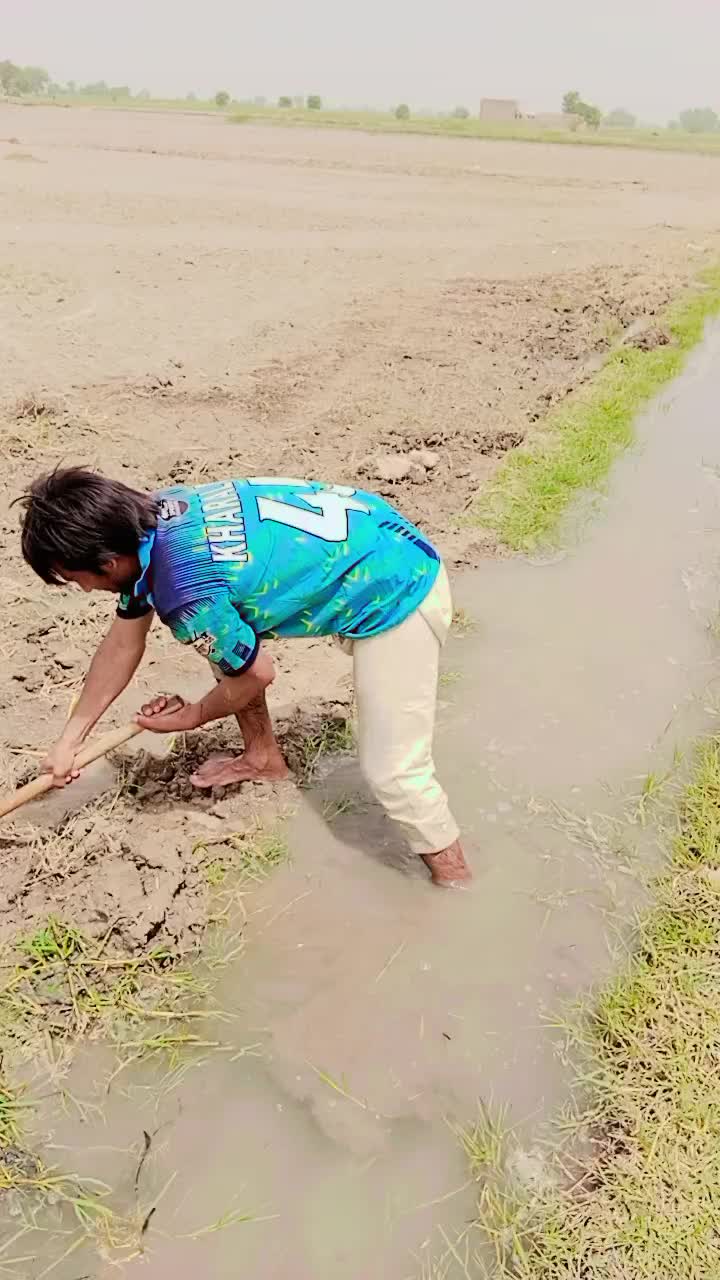 @pandu official 🥰