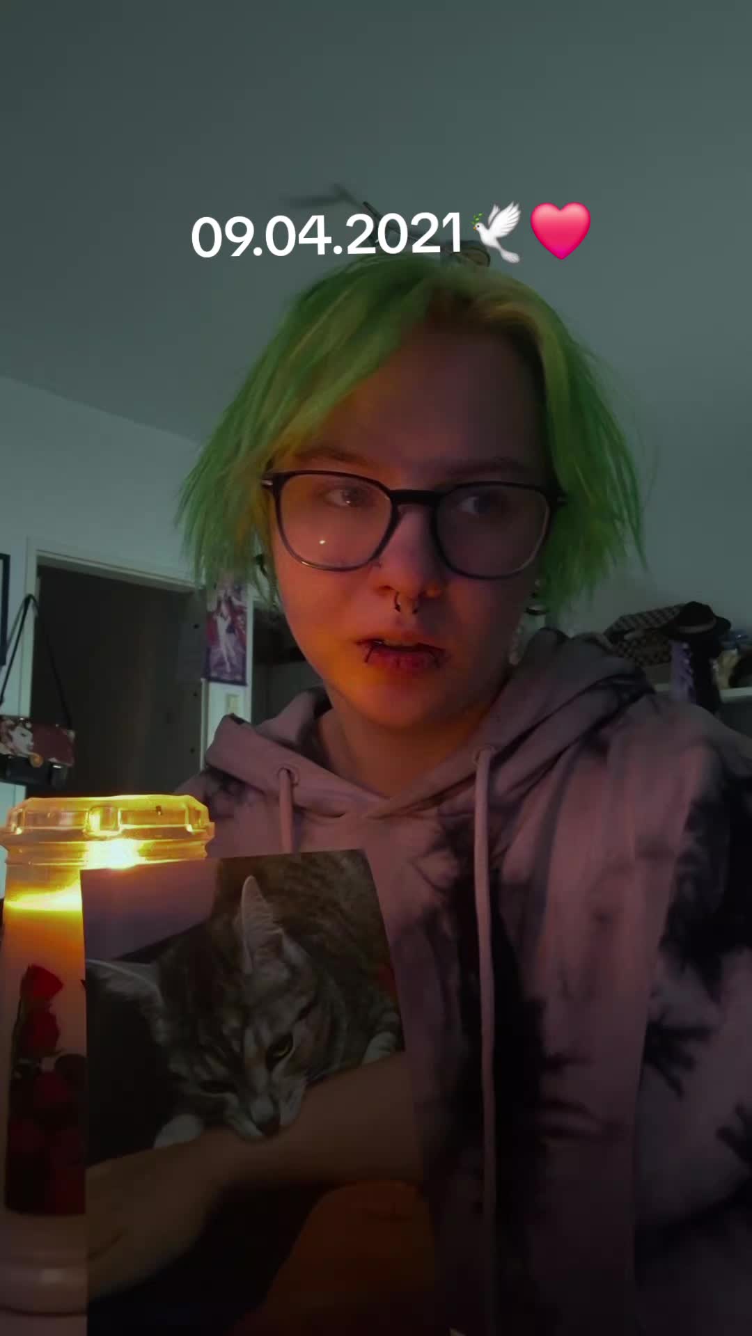 @Alec_Der_Dino🦖🦕