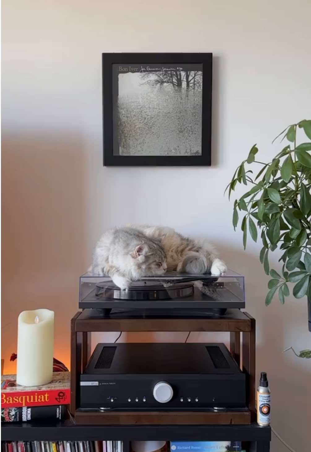 @Leon The Vinyl Cat