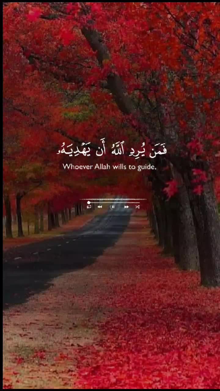 @๐ซ Mohamed ๐ซ