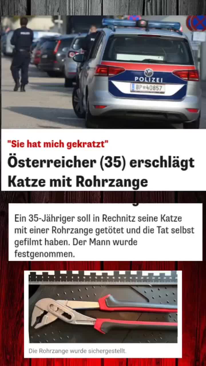 @Nachrichten_News26🇦🇹🇩🇪