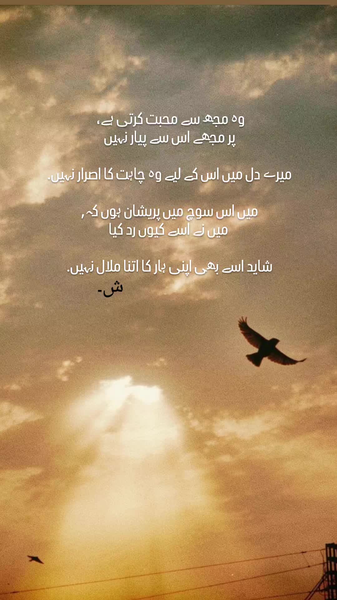 @Shehryar.