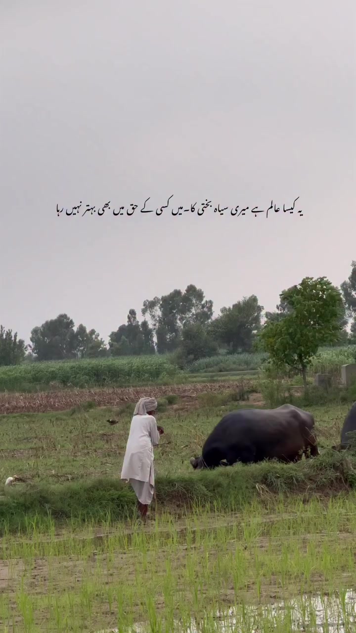 @Sajid Malik