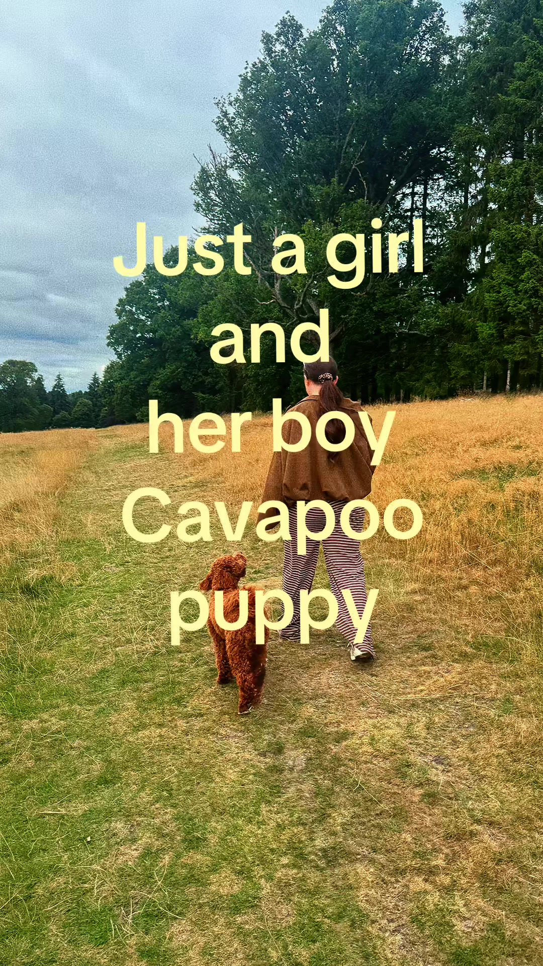 @CaitlinDownie