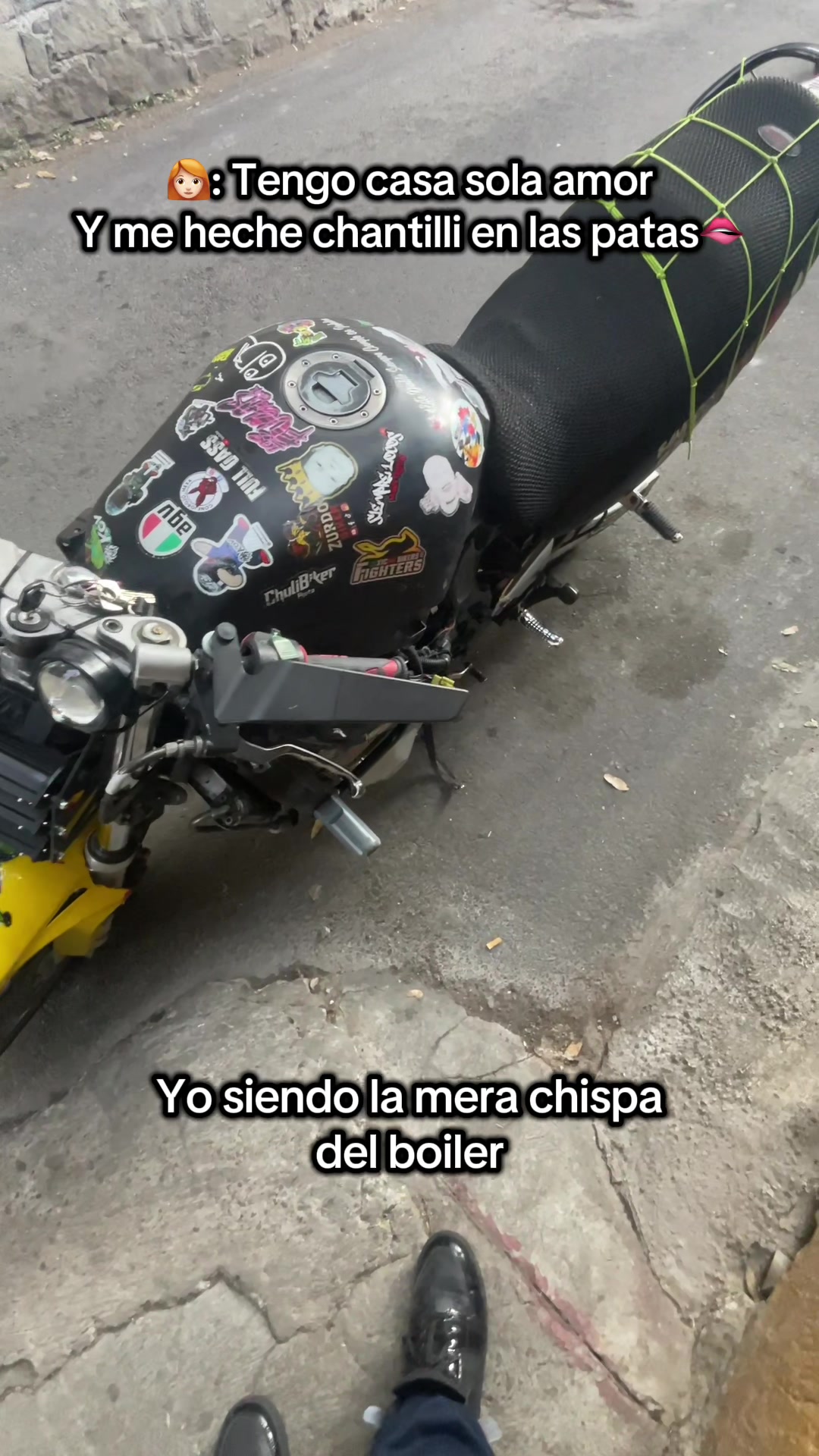 @CONEJOROJO_MEXA