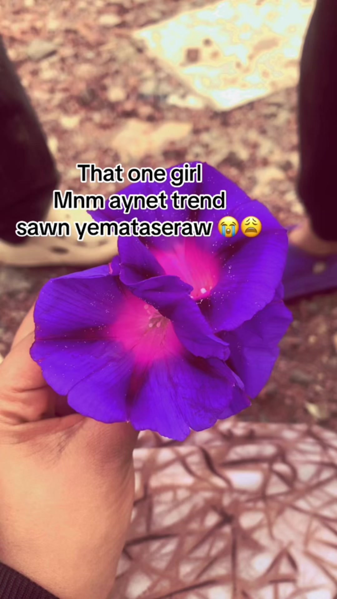 @የአብ-ስራ🌸