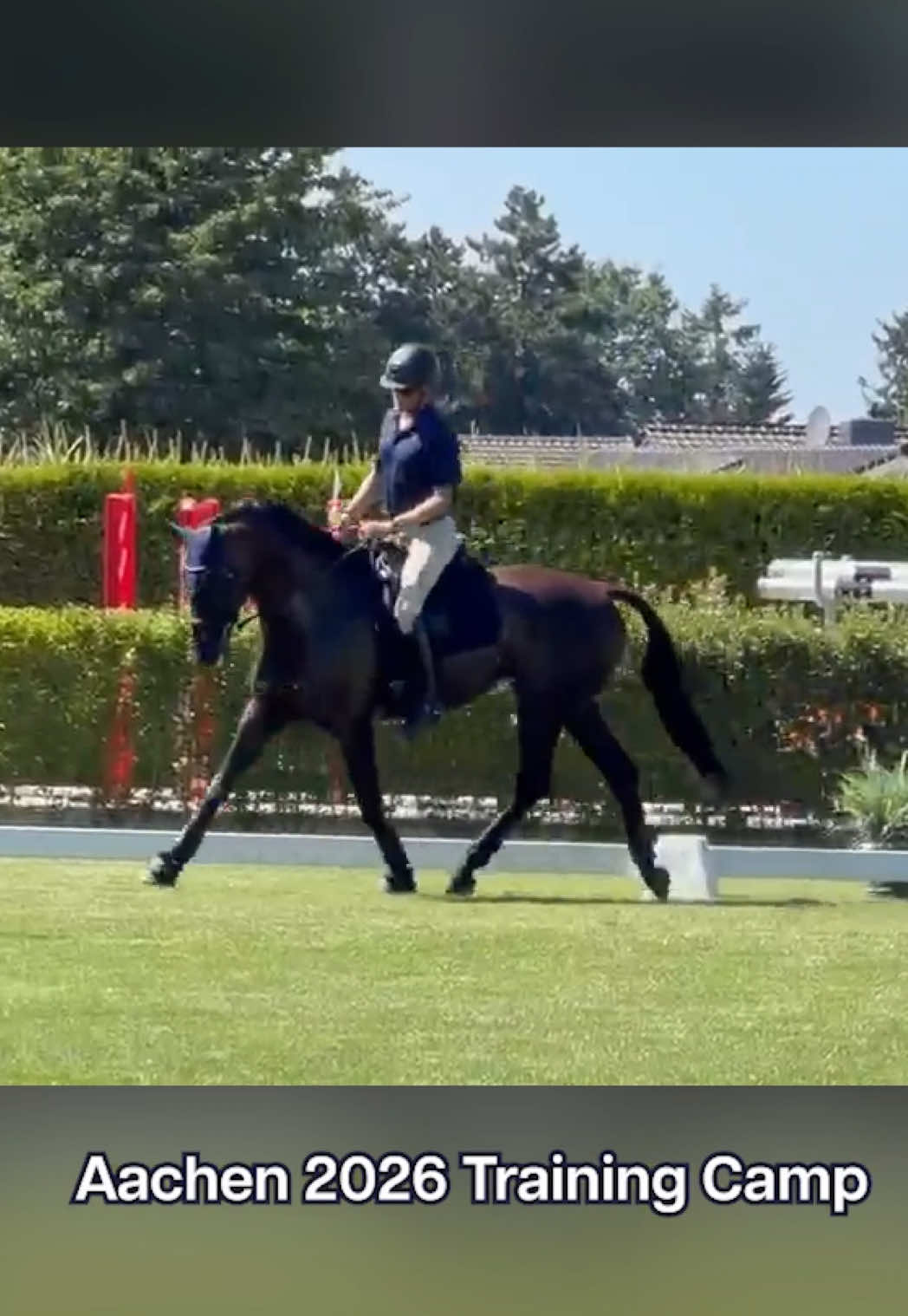 @Boyd Martin