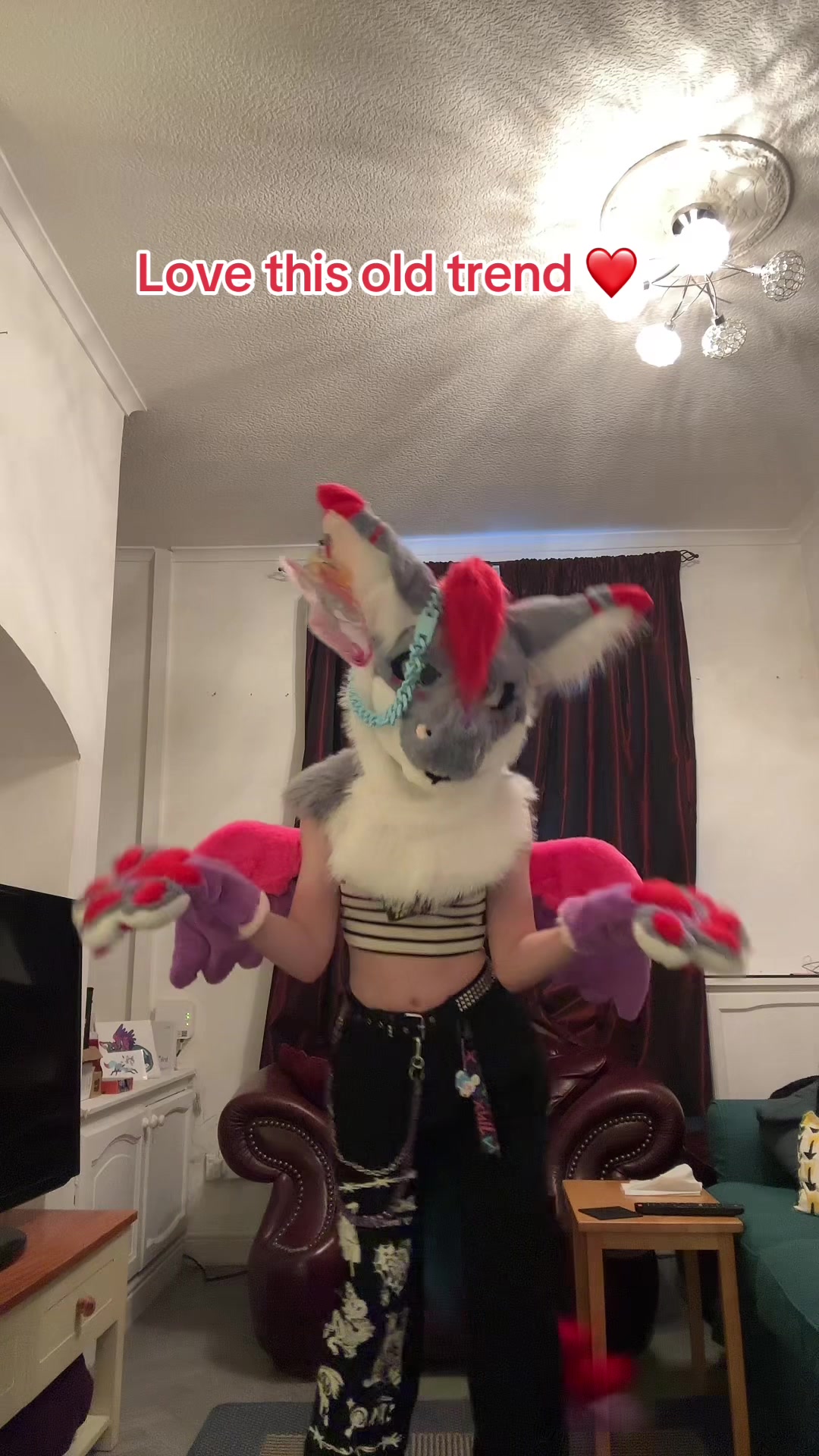 @Cola_the_angeldragon ❤️🖤