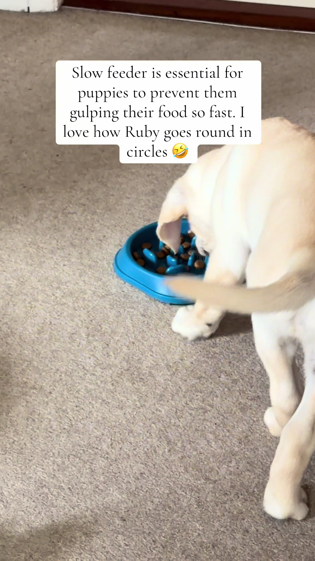 @♡ Charlee ♡