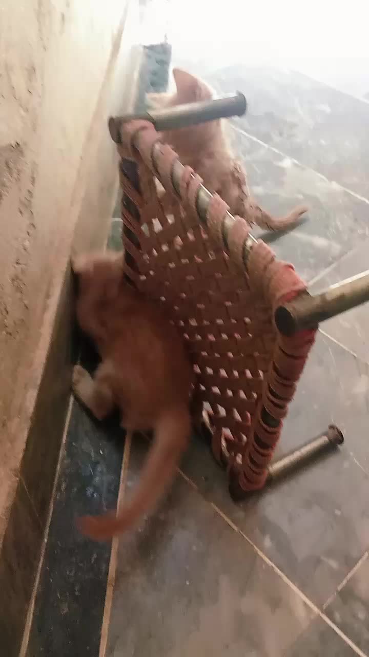 @cutecatlover8172