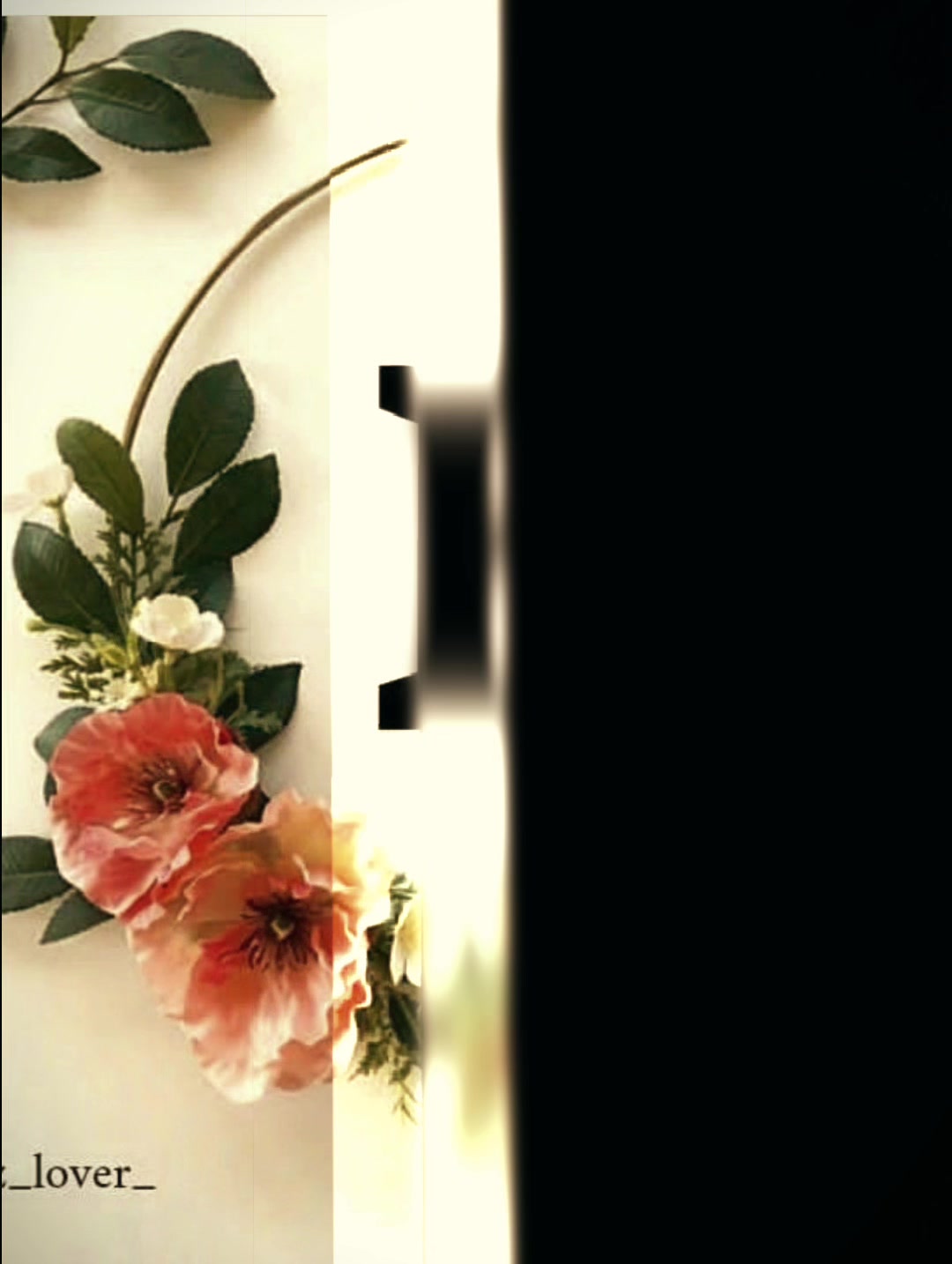 @꧁🕊️⃝ 𝐇🕊️⃝࿐