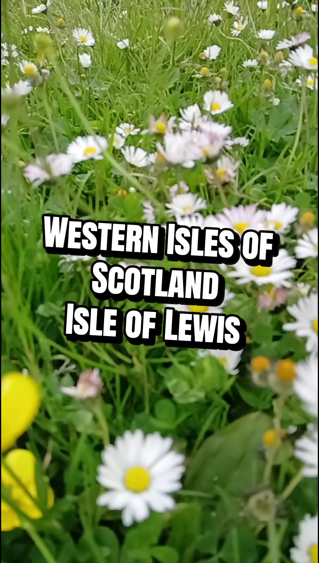 @will🏴