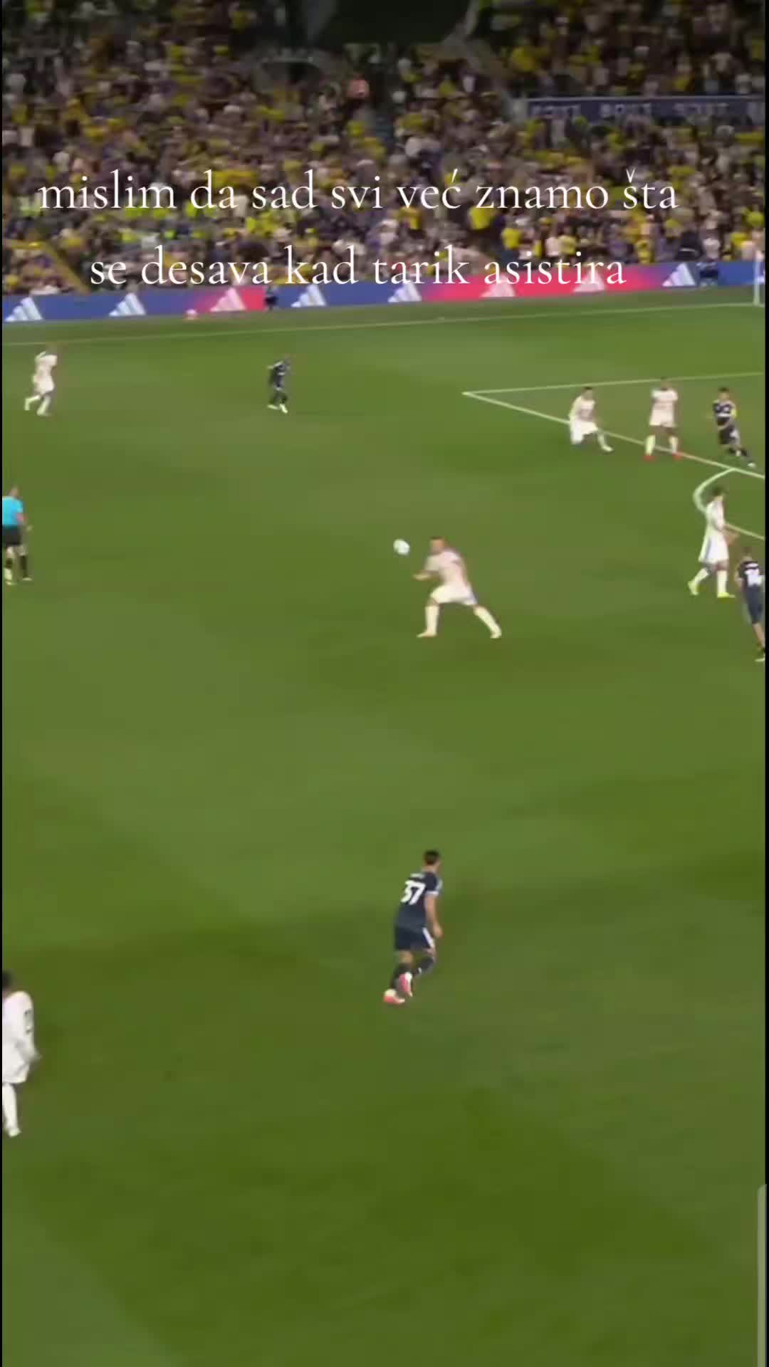 @nasi_zmajevi.ba🐉
