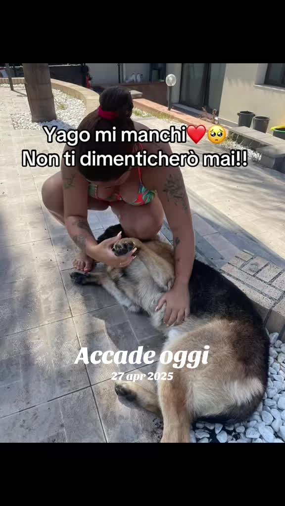 @Massy98