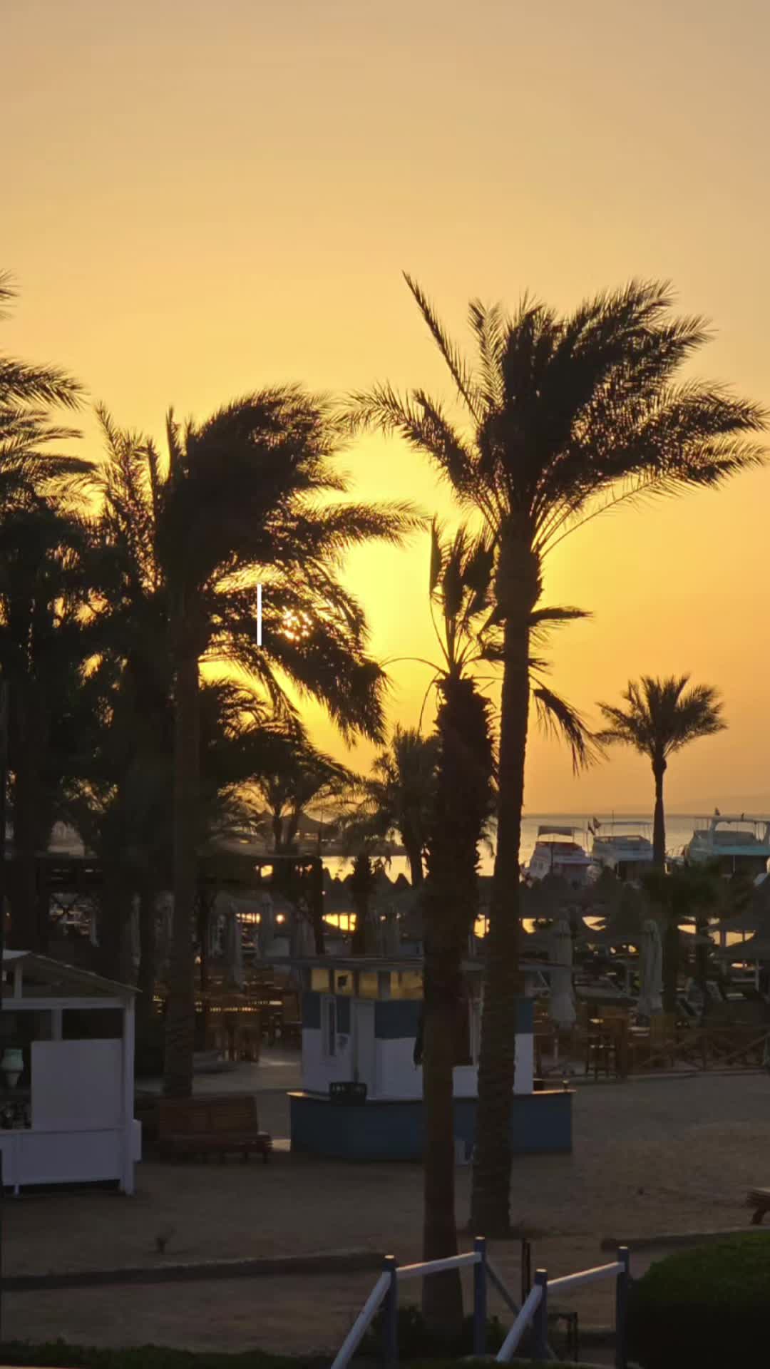@𝓚𝓪𝓼𝓼𝓲𝓸𝓹𝓮𝓲𝓪