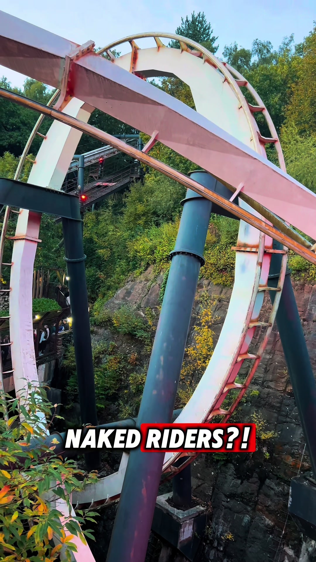@Coaster Chicken