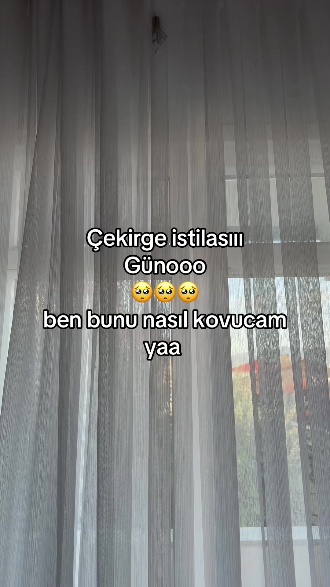 @ismisss777777