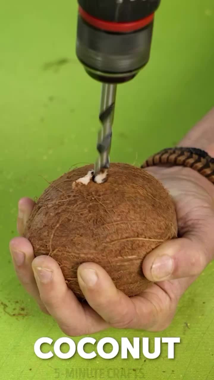 @5-Minute Crafts shorts