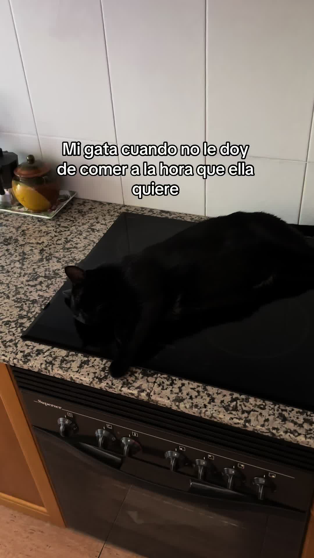 @BlackCatsMatter