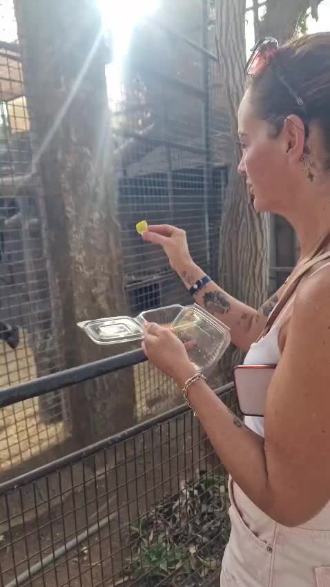 @Emzrow