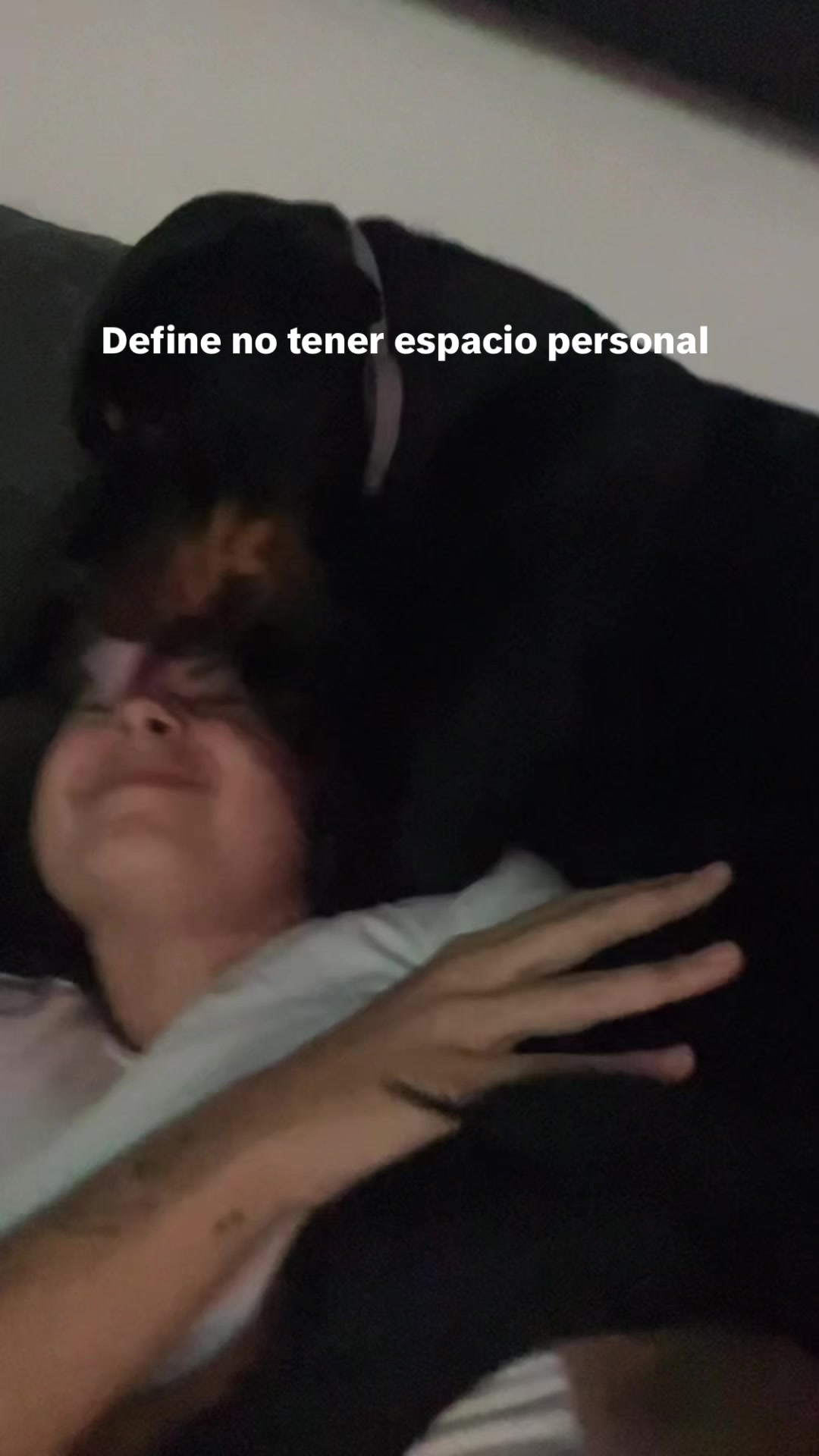 @Nerea 2.0
