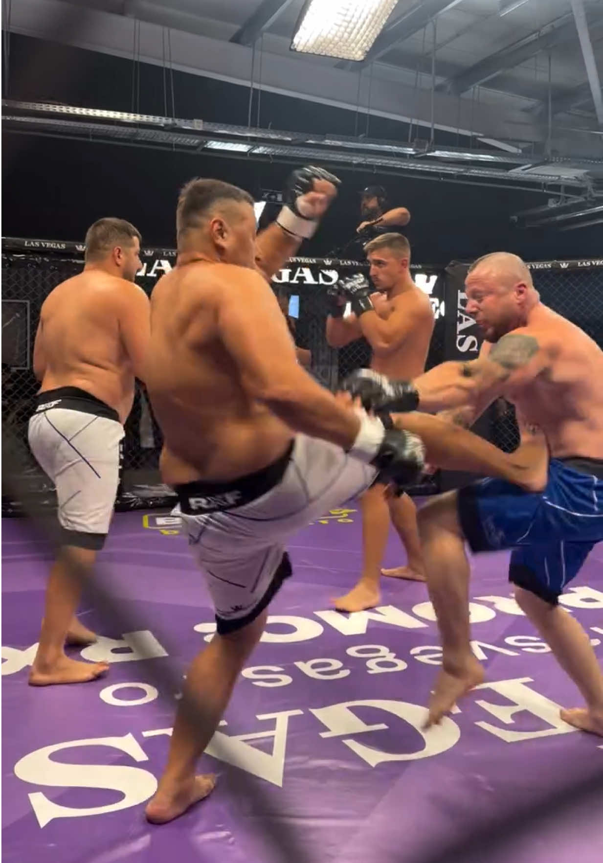 @FightingLab