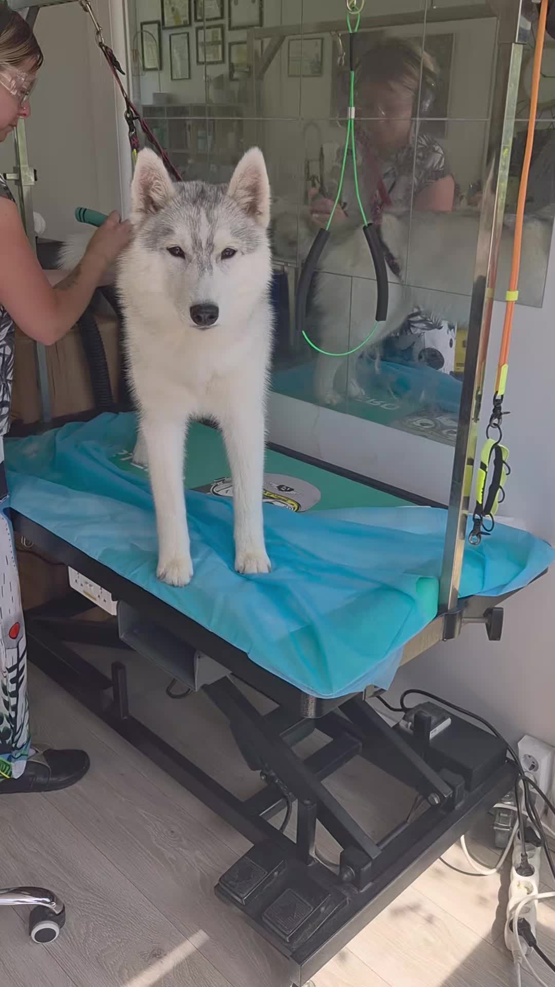 @Green Pet Grooming and more