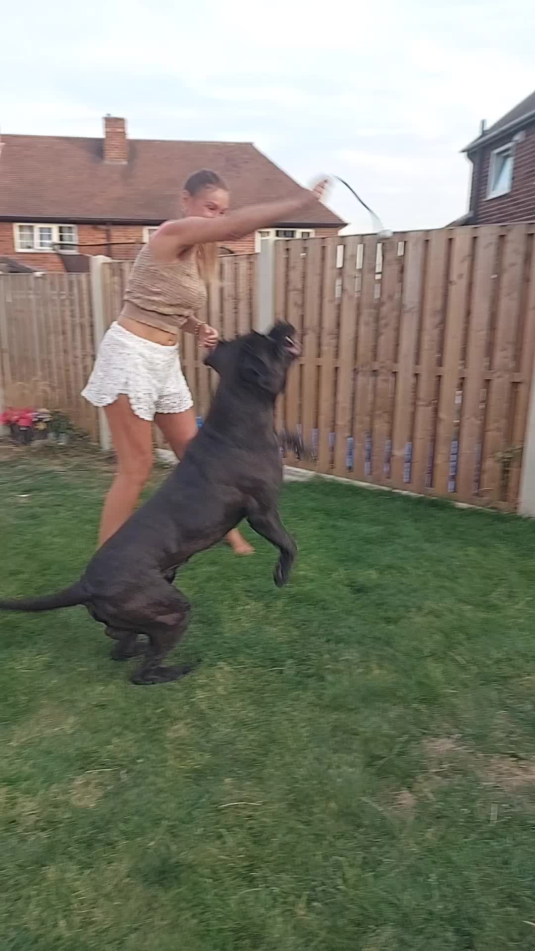 @Canecorspuppy