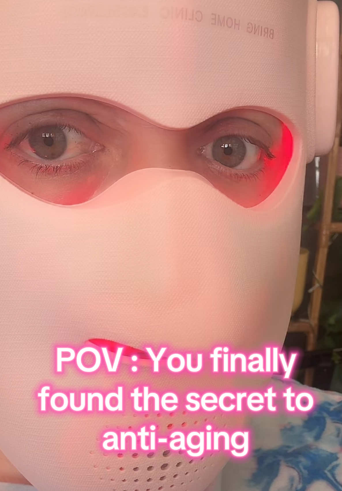@ash - onlyplants 🌸