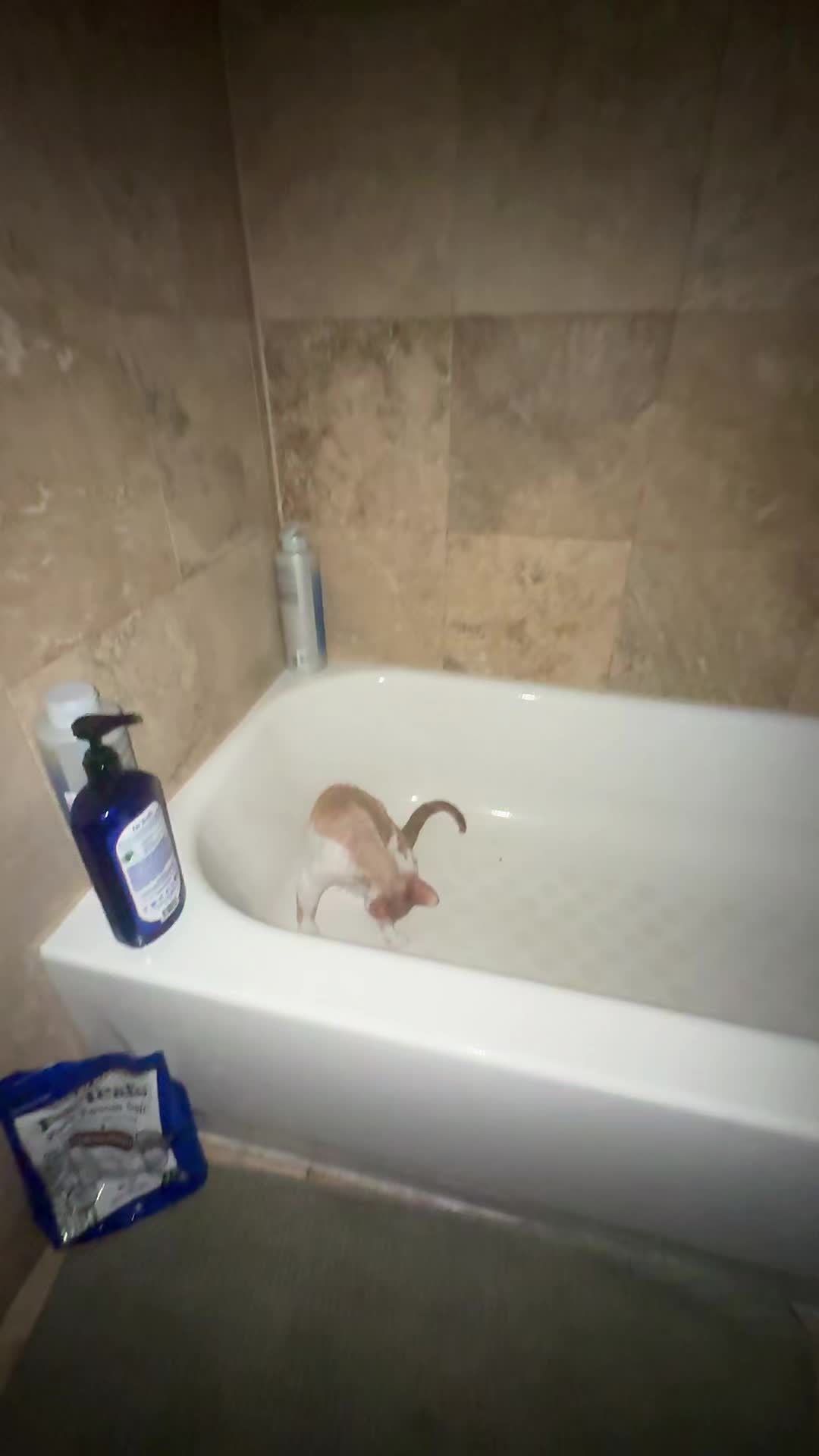 @Clairbbear