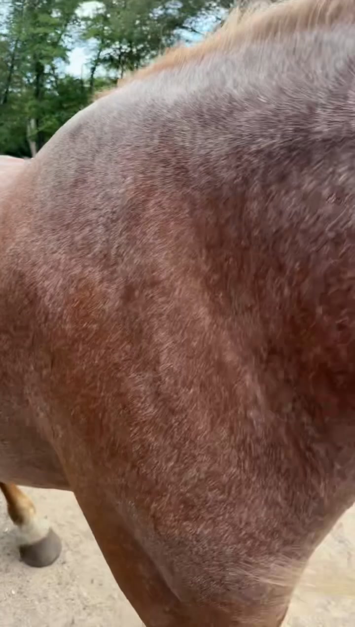 @Roeboat