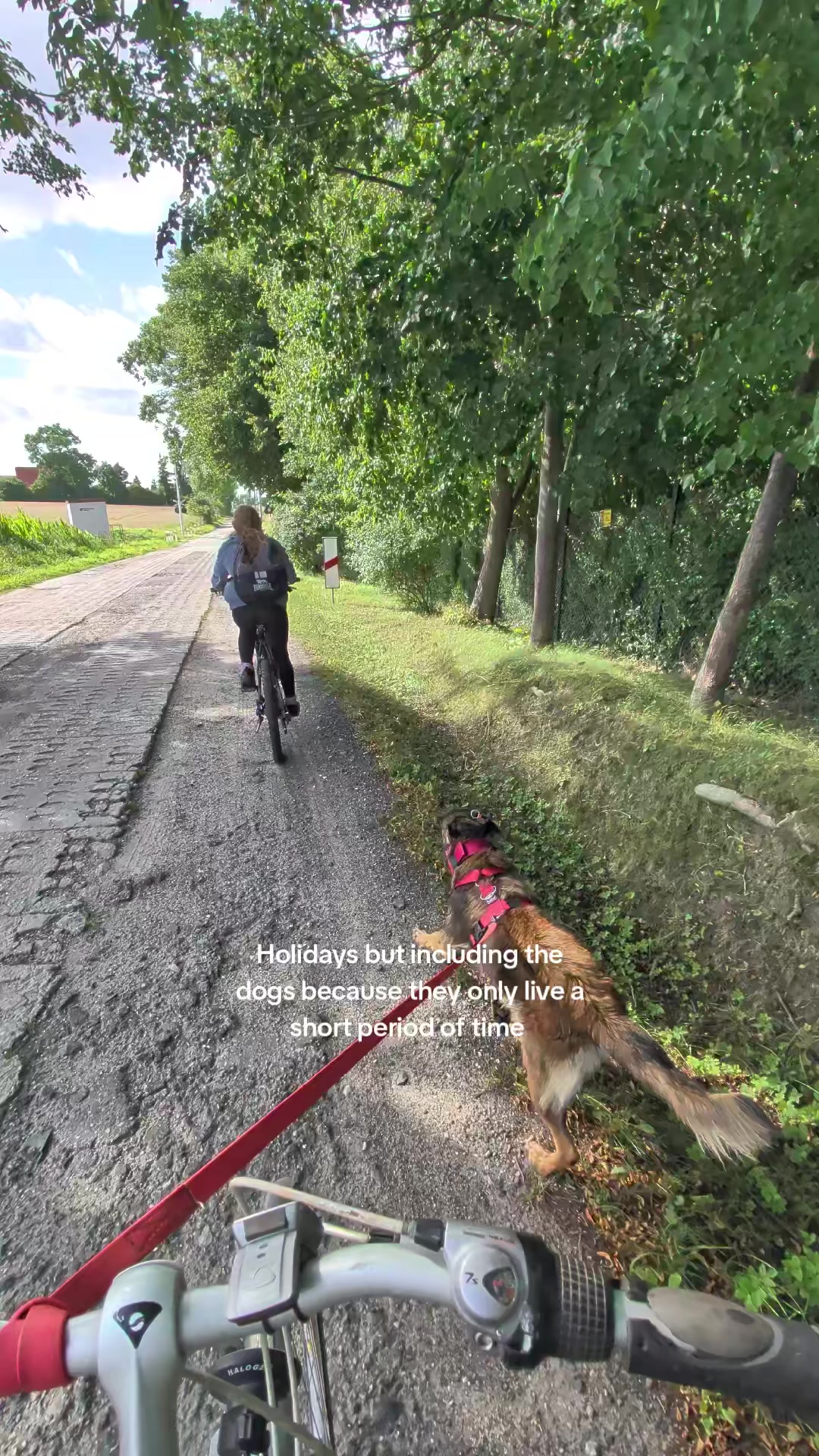 @Bruno and Strzała