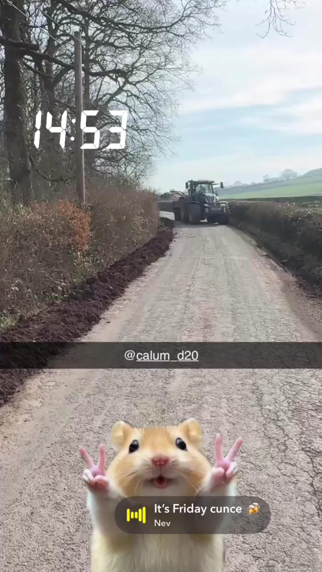 @freddiebowen1