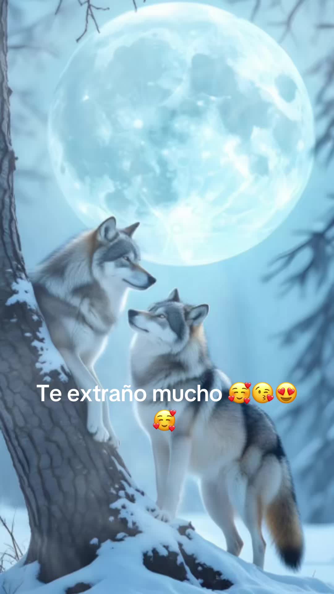 @✡️🦋🎭ALI🐦&zwj;🔥A.M🦋✡️