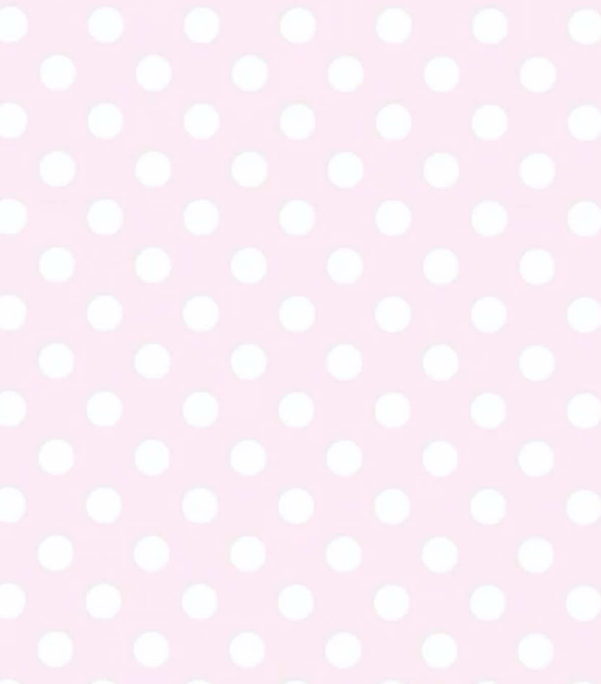 @꒰ঌ໒꒱ ˚₊ ℳ𝒾𝓈ℴ ₊˚🪽ෆ