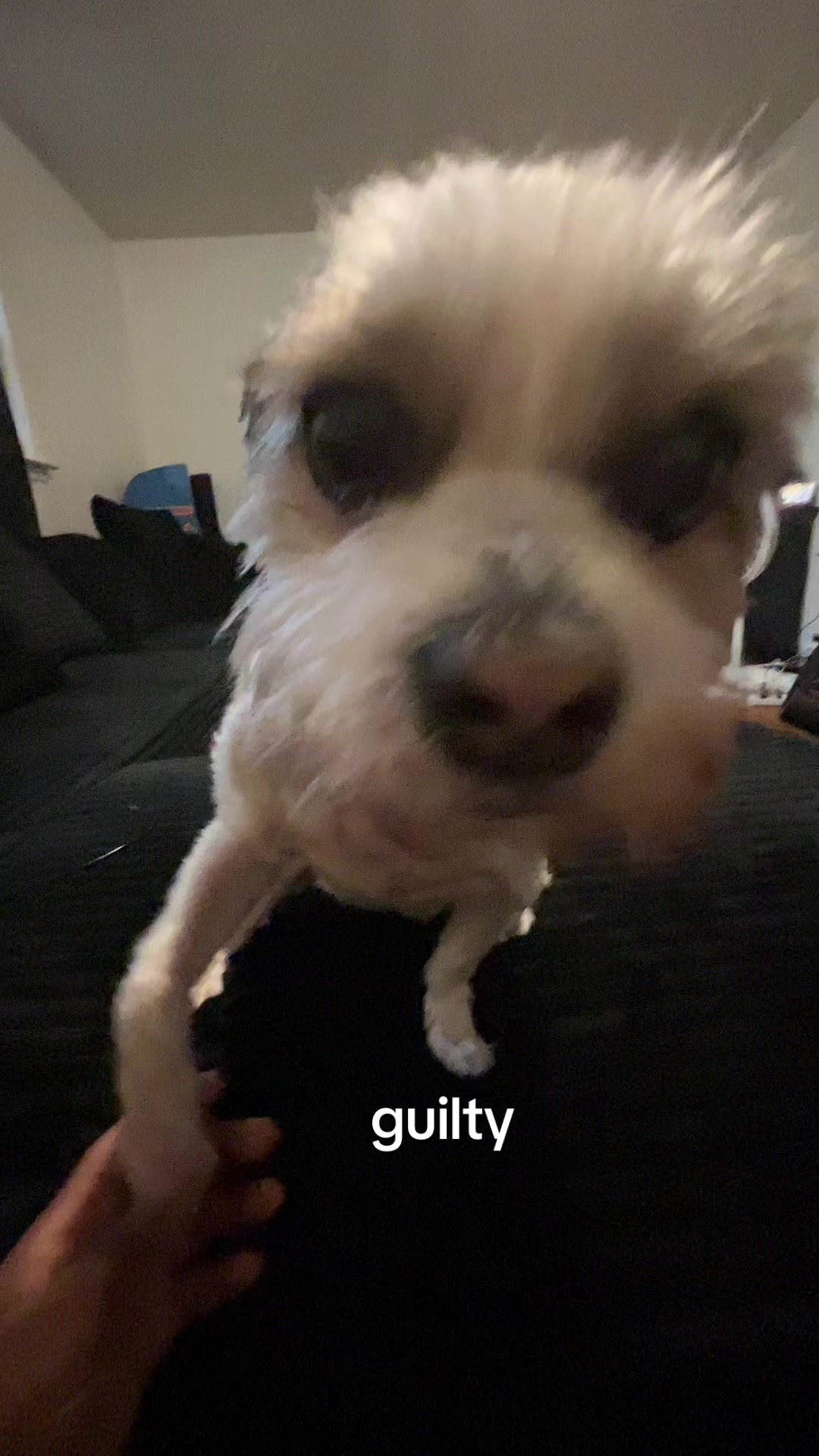 @Juscallmela