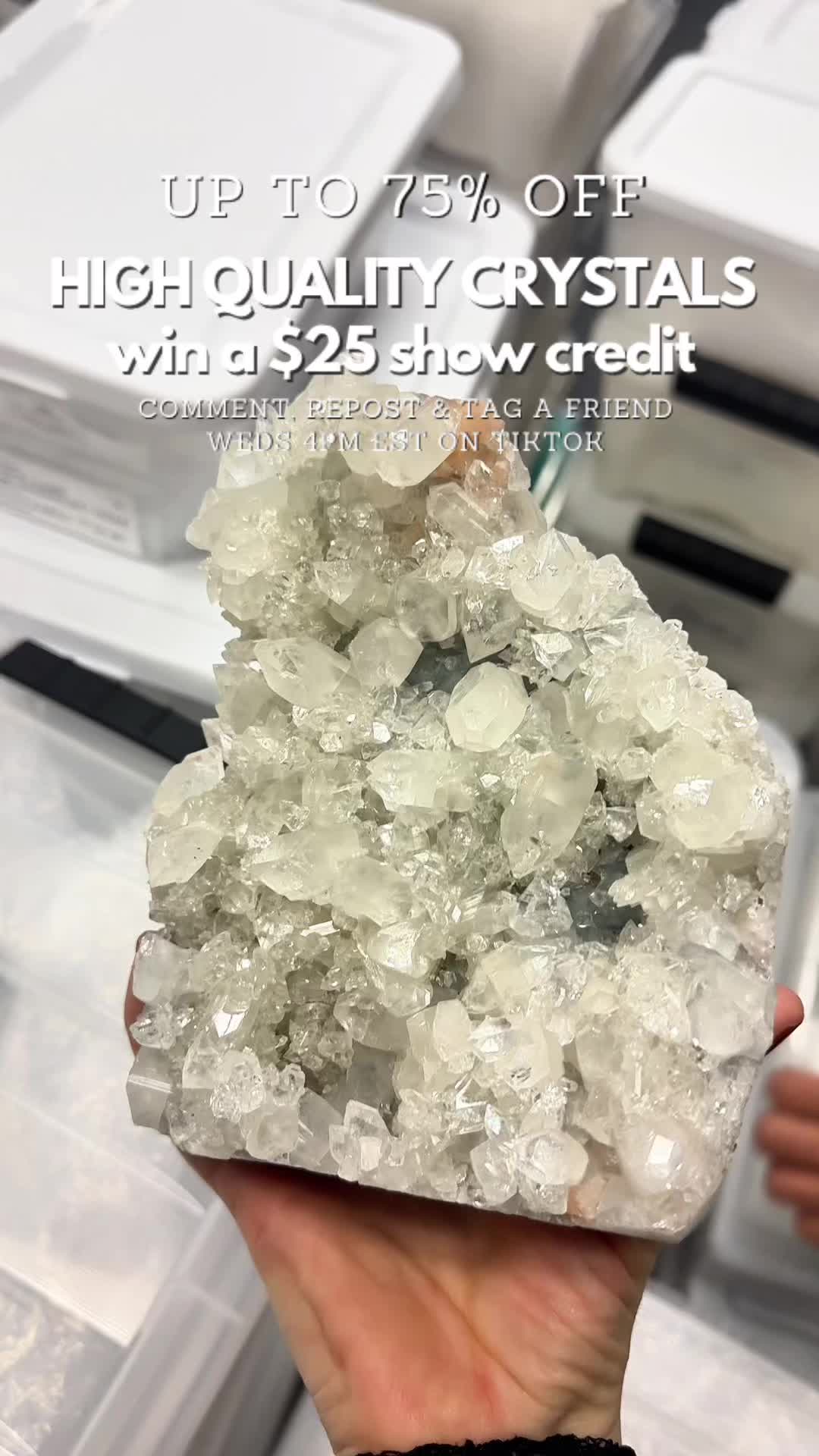@Crystal Live Emporium✨Natalie