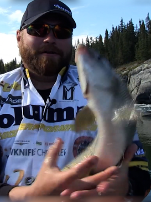 @Fishing TV
