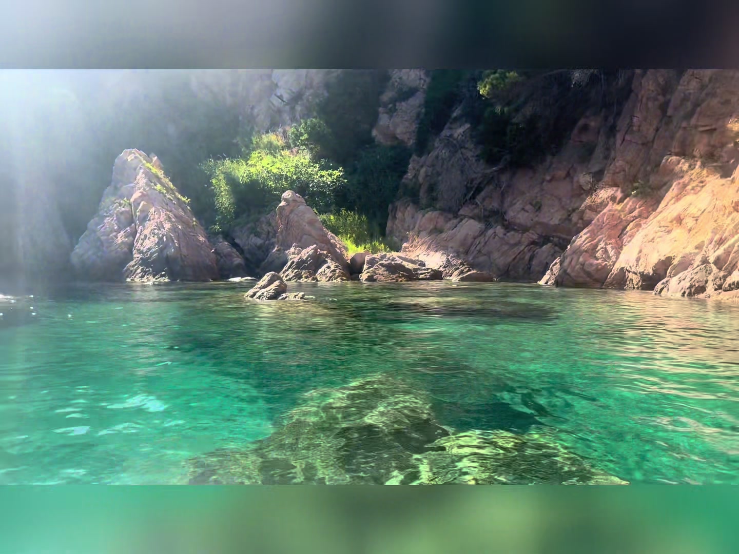 @✨La Sabrosa✨