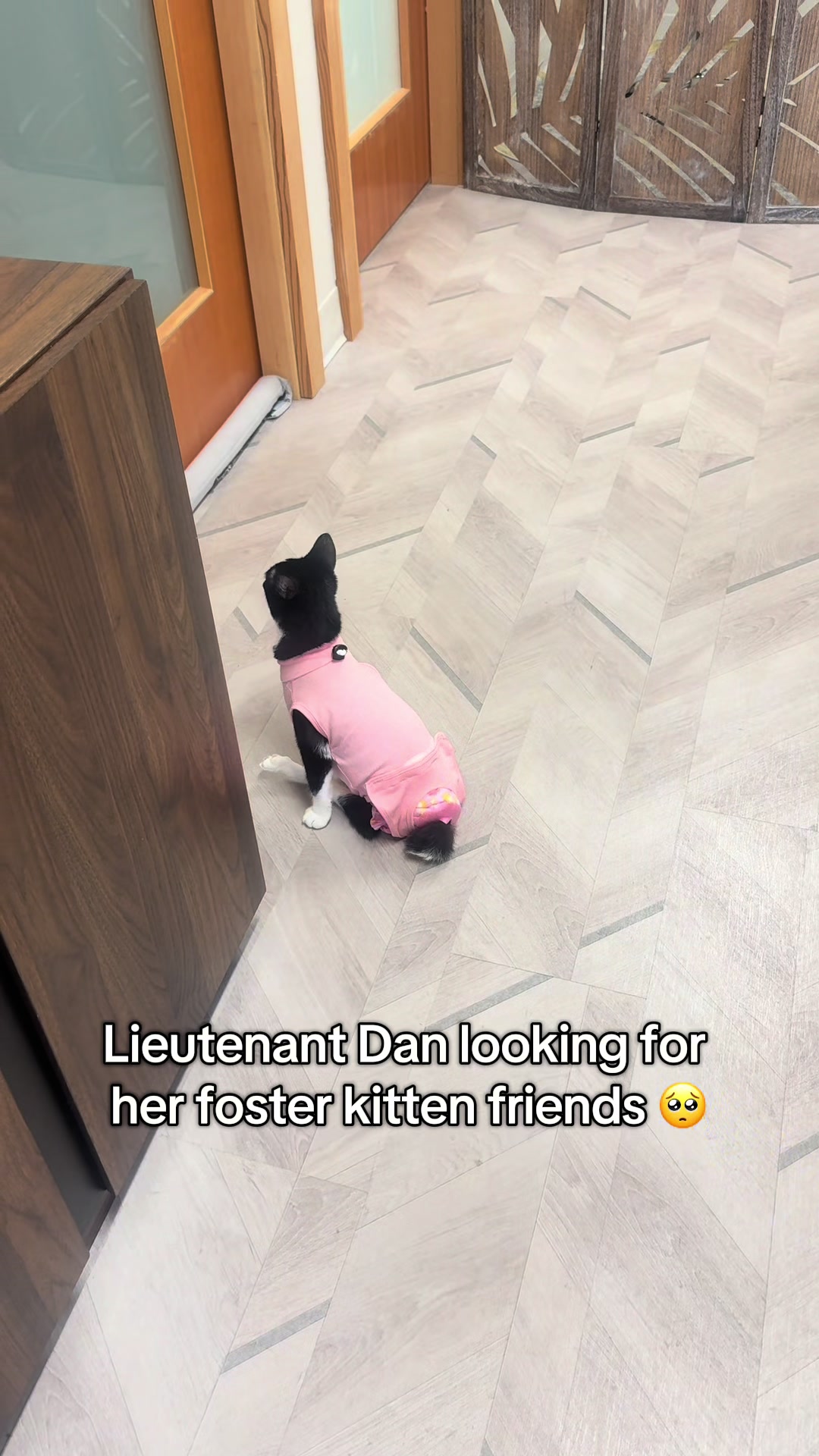 @soccercatmom