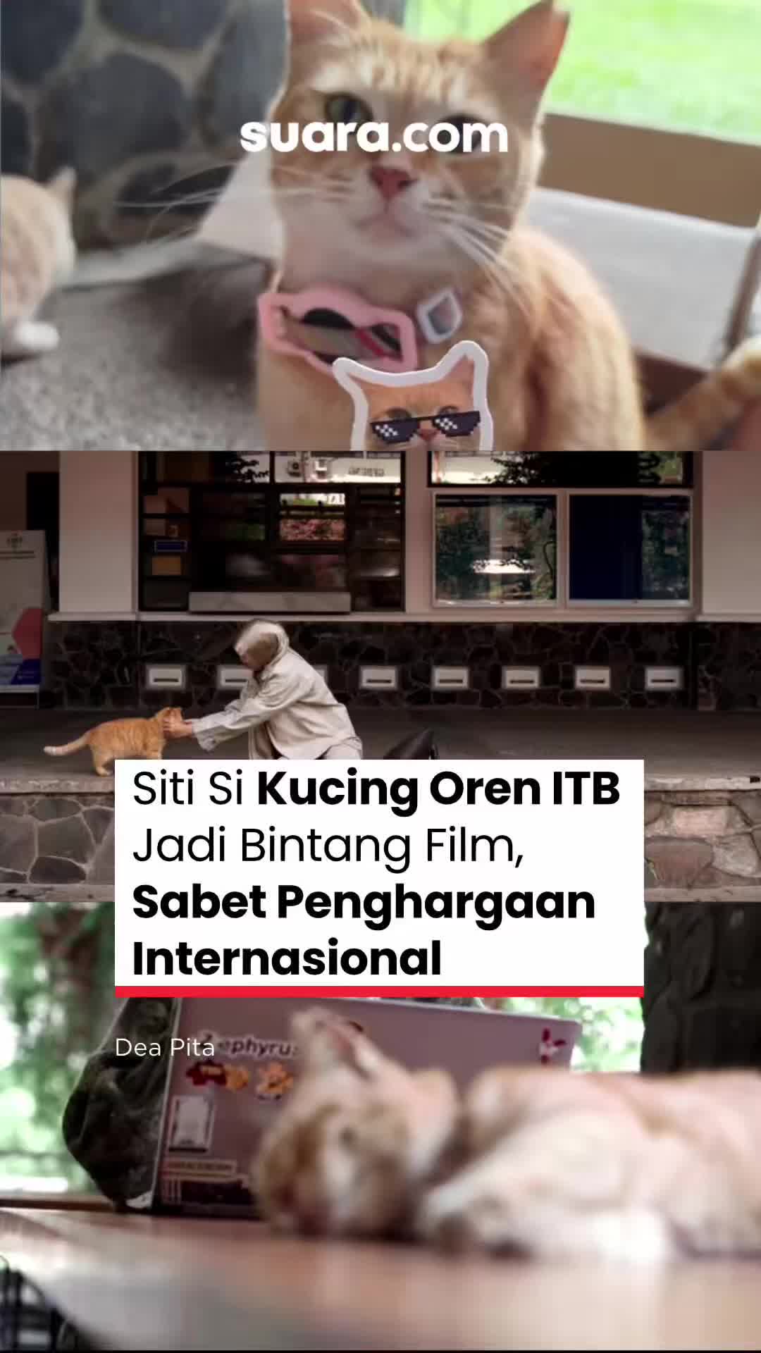 @Suaradotcom