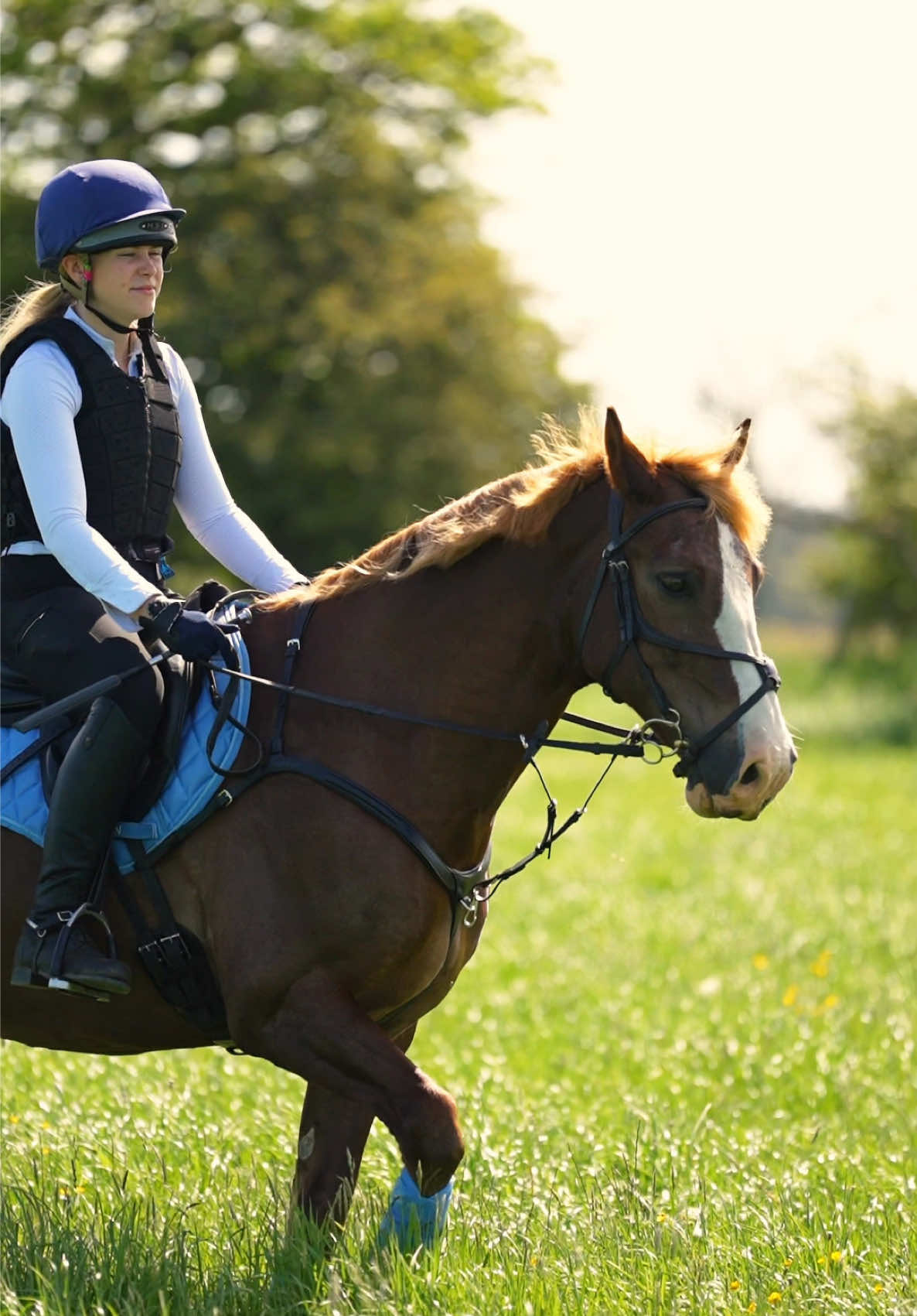 @Uhlan Equestrian