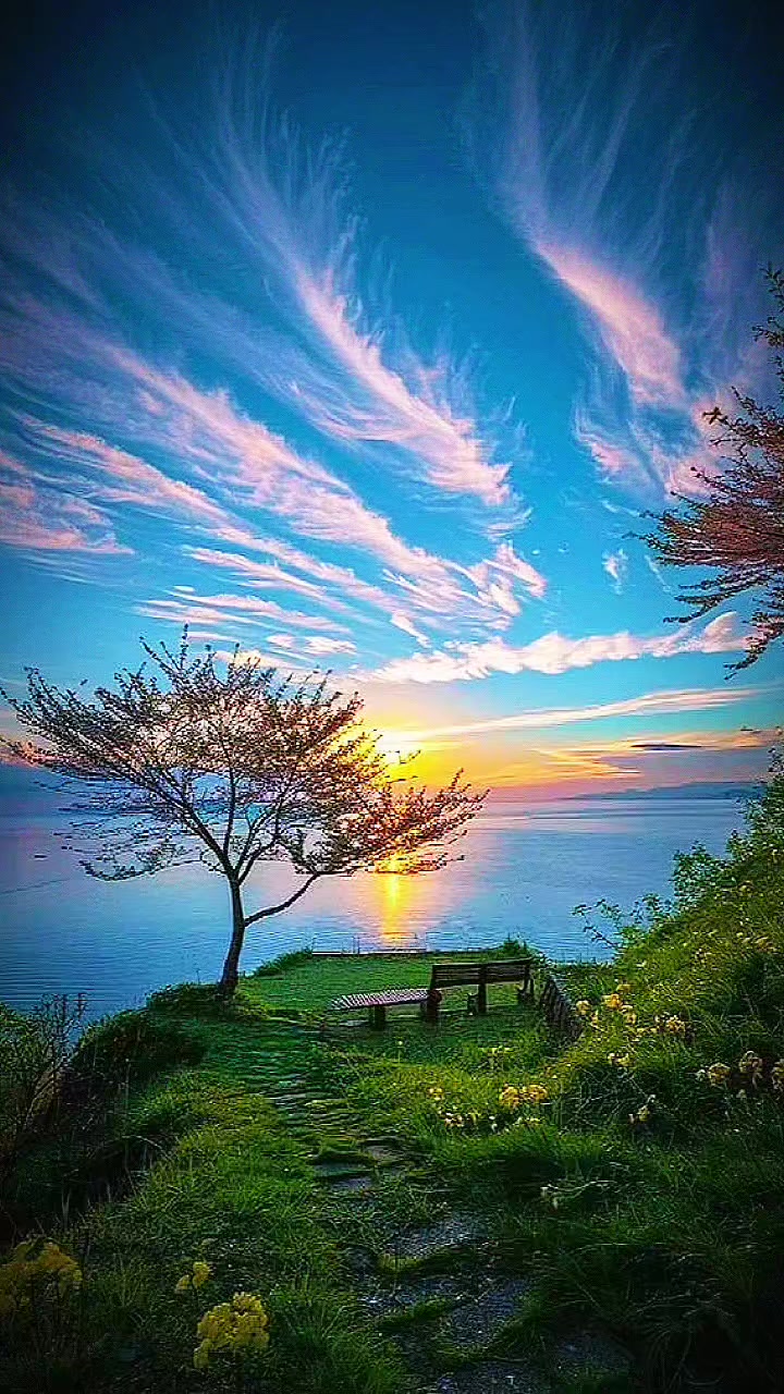 @dios es amor 🙏🤲❤️