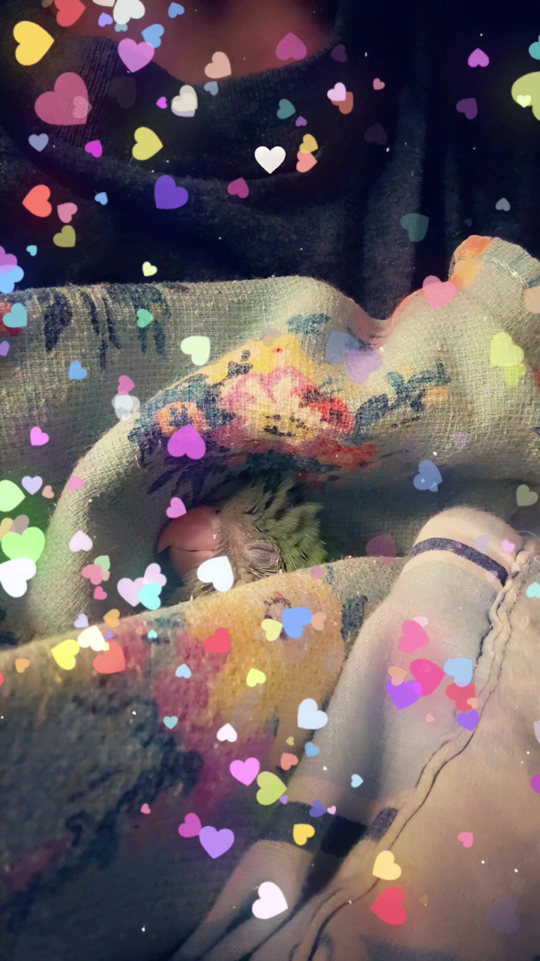 @MarielleM