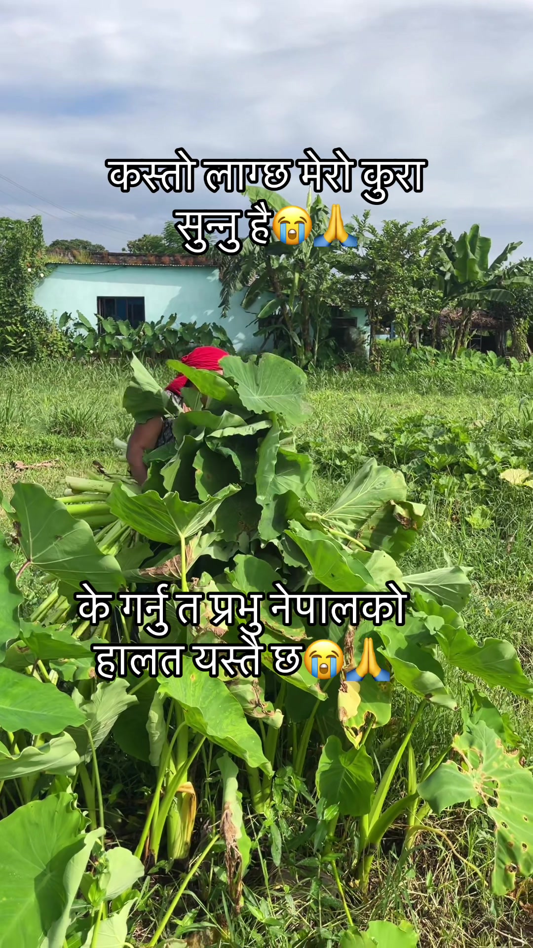@Rachana