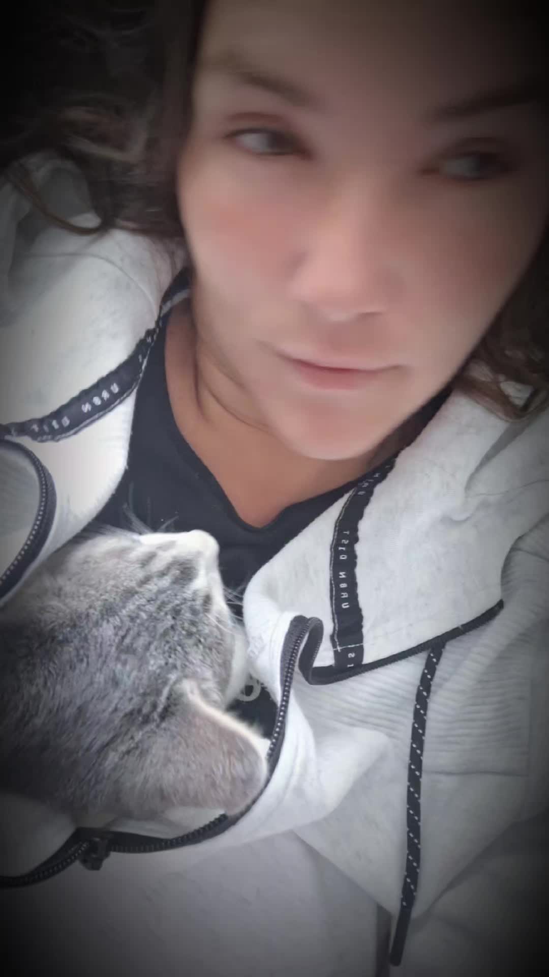 @fettbacke91