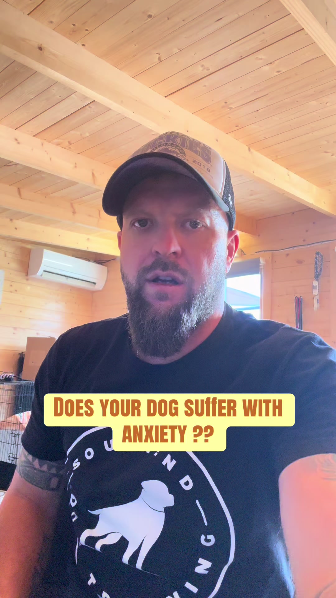 @SouthendDogTraining