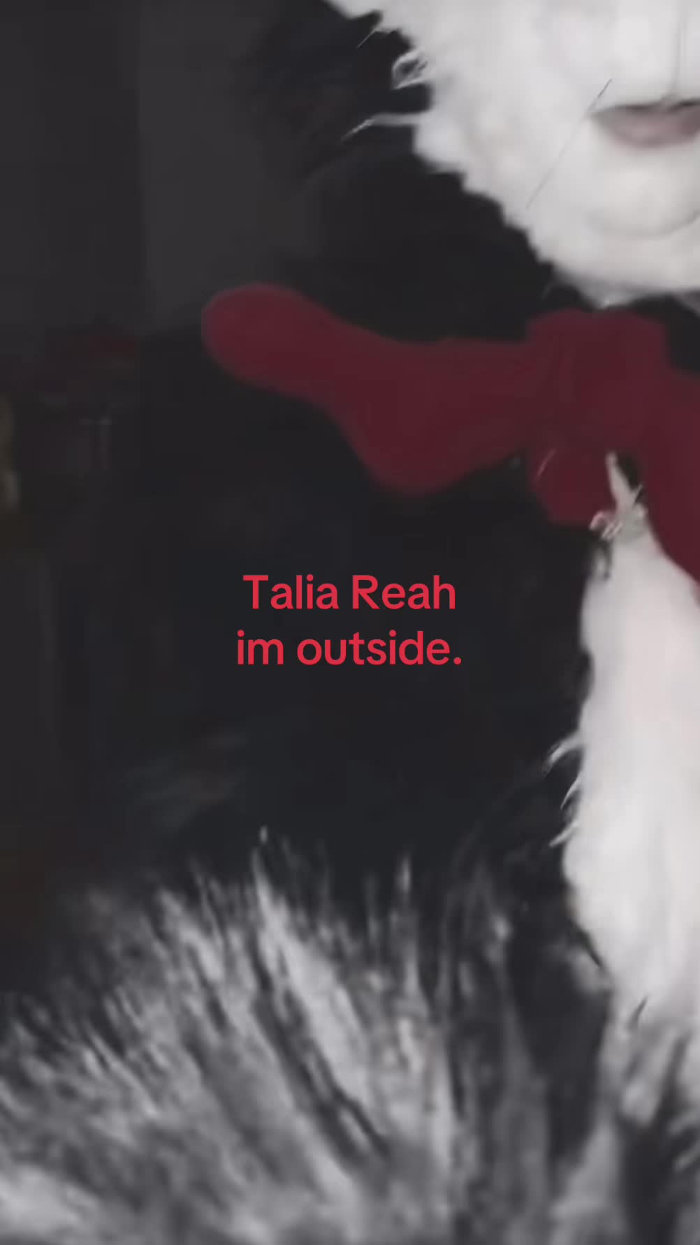 @Cat in the hat (Nunny)