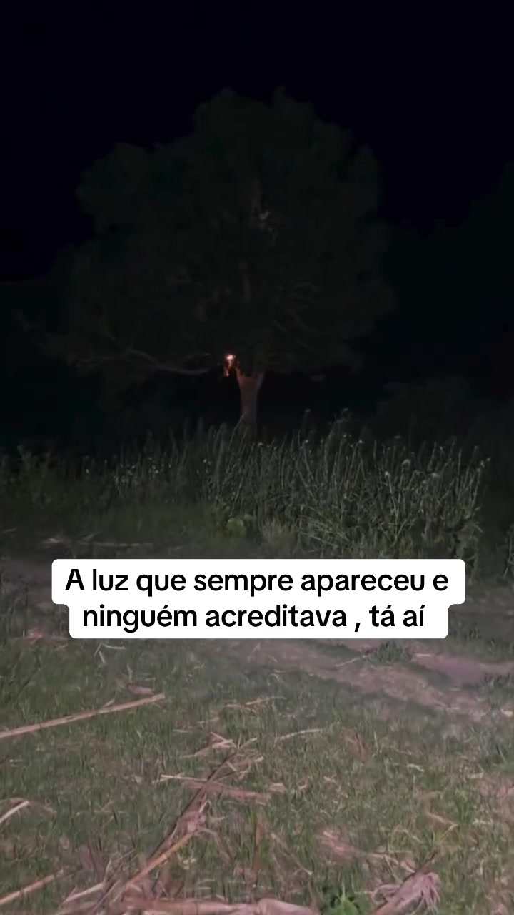 @marcelocamargos